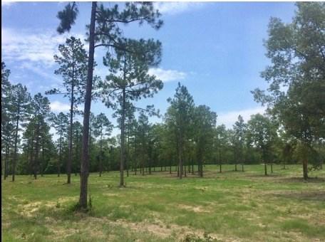 lot29ph7 Rembert Place - Photo 1