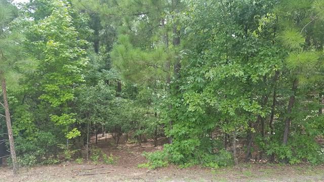 219 Golden Oak Drive - Photo 1