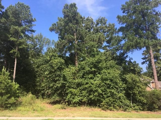 786 Steeplechase Road - Photo 1