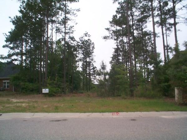 125 Cameron Alley - Photo 1