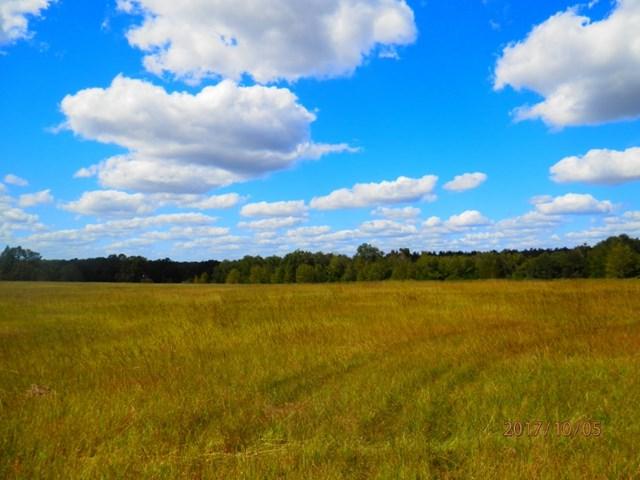 416 Shadow Lane Road - Photo 1
