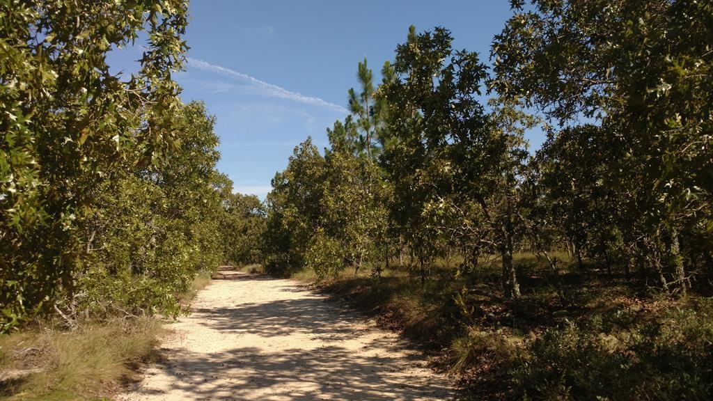 Tract H Centerwood - Photo 1
