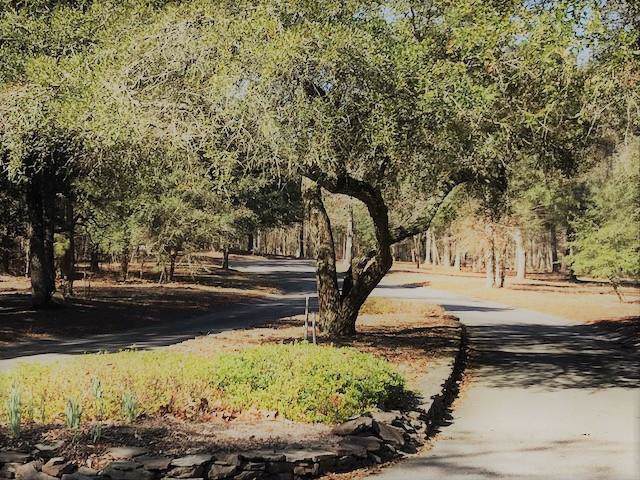 Lot 6 Wild Oaks Lane - Photo 1