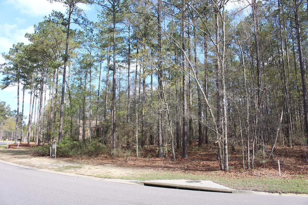 7040 Castlesteads Drive - Photo 1