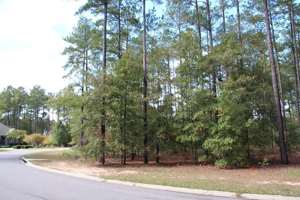 205 Haddington Way - Photo 1