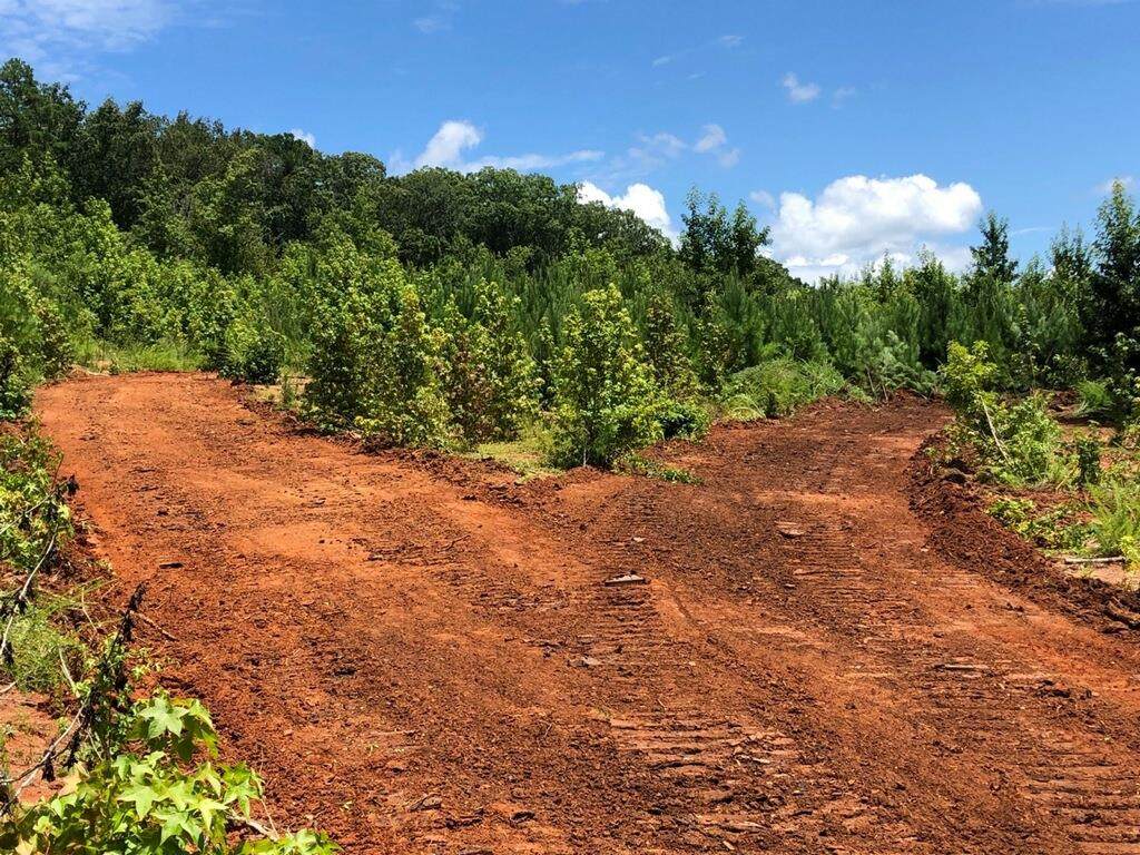 04 Martintown Road - Photo 1