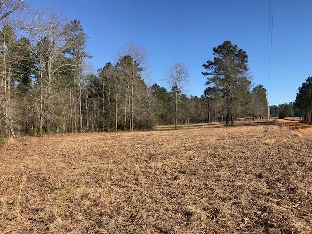 Tract 1-D Angela Road - Photo 1