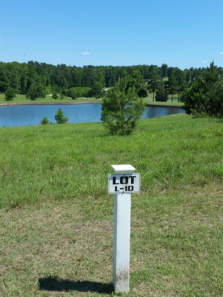 LOT L-10 Militia Loop - Photo 1