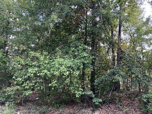 0 Sparrow Lane - Photo 1