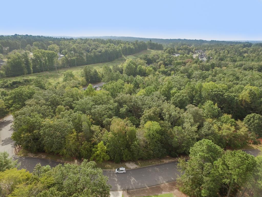 606 Savannah Barony - Photo 1