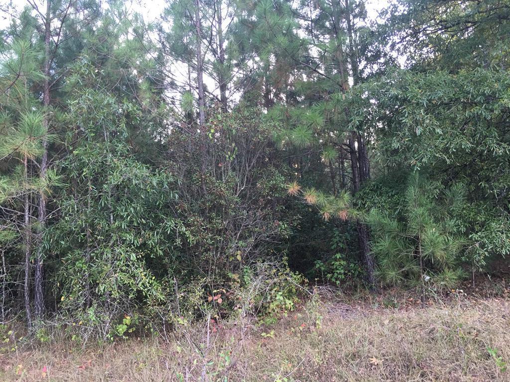 13 Faulkner Mtn Road - Photo 1