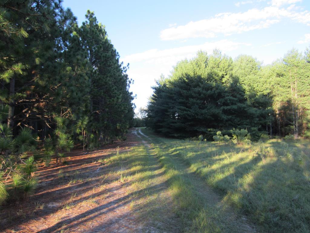 1475 Keys Pond Rd - Photo 1