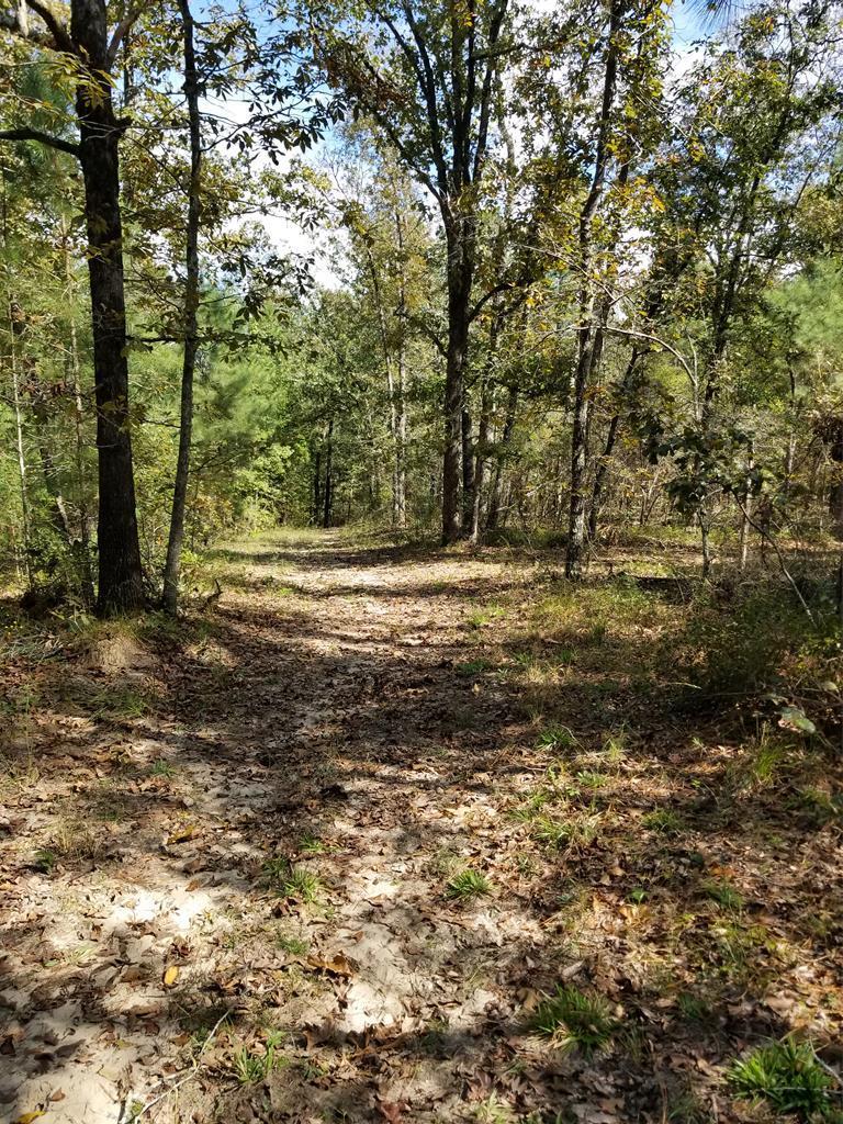 761 Horse Creek Road - Photo 1