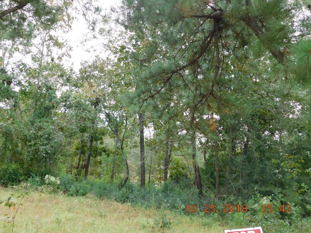 Lot 19 Forest Trail Court - Photo 1 Lot 19 Forest Trail Court - Photo 1