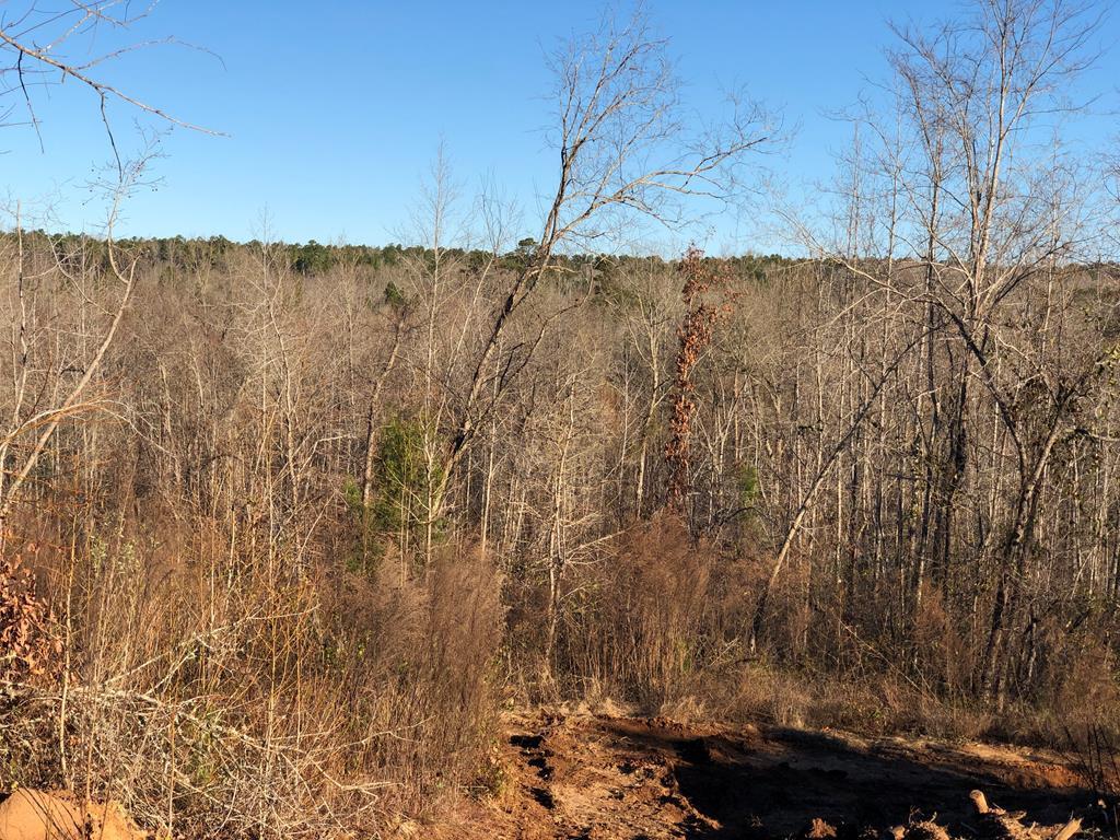 0 Briggs Road - Photo 1