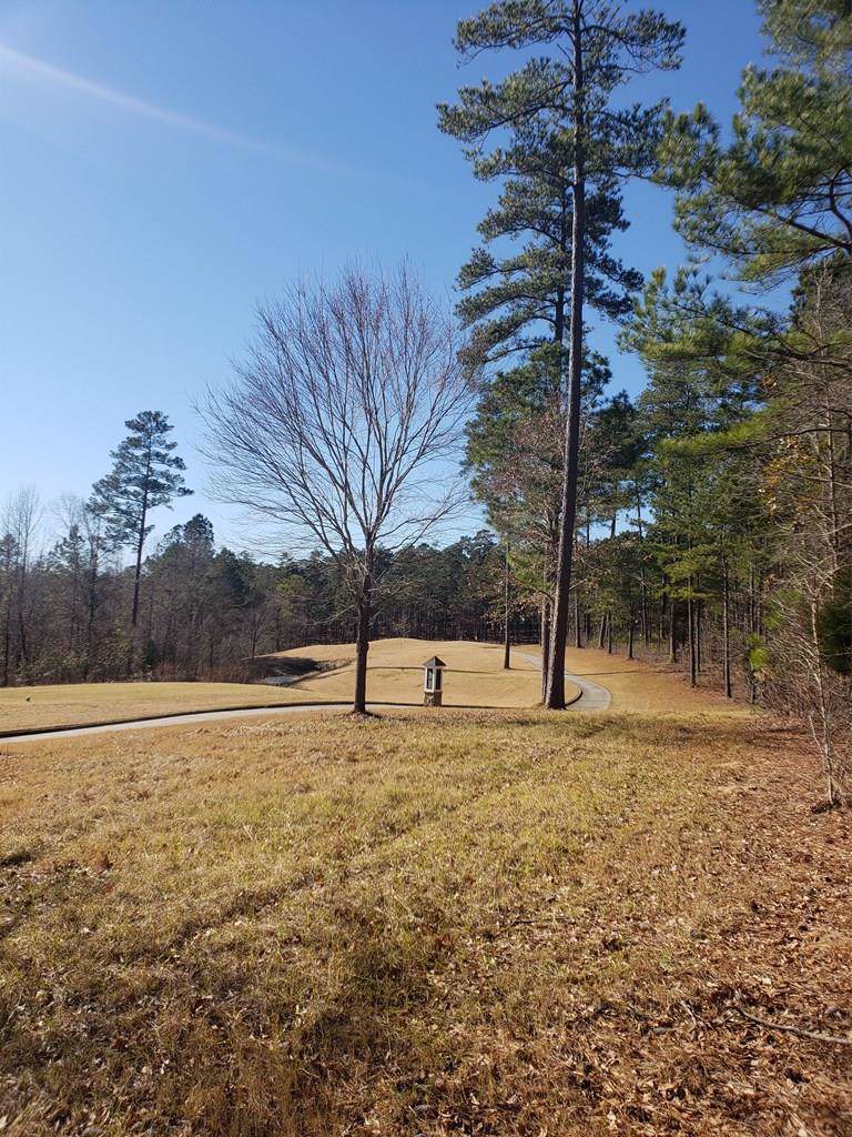 Lot L-19 Militia Loop - Photo 1