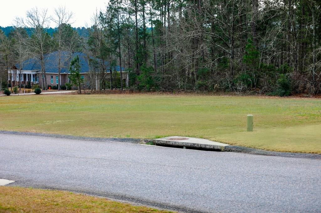 Lot 14 Hidden Field Court - Photo 1