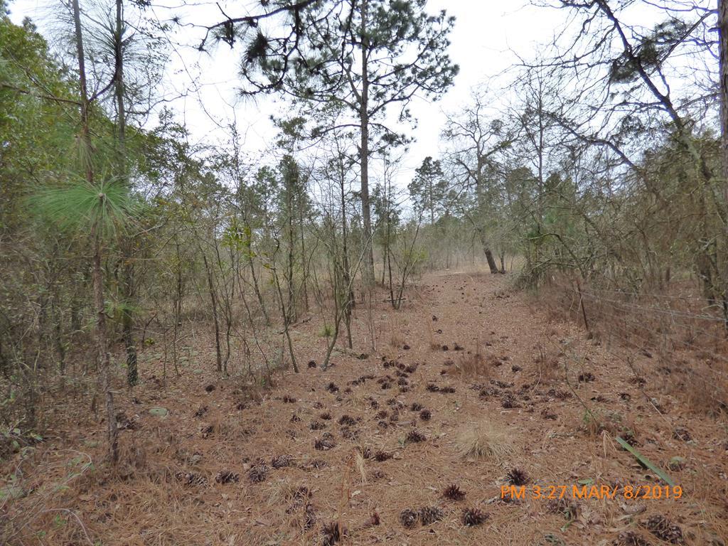 0 Wire Road - Photo 1