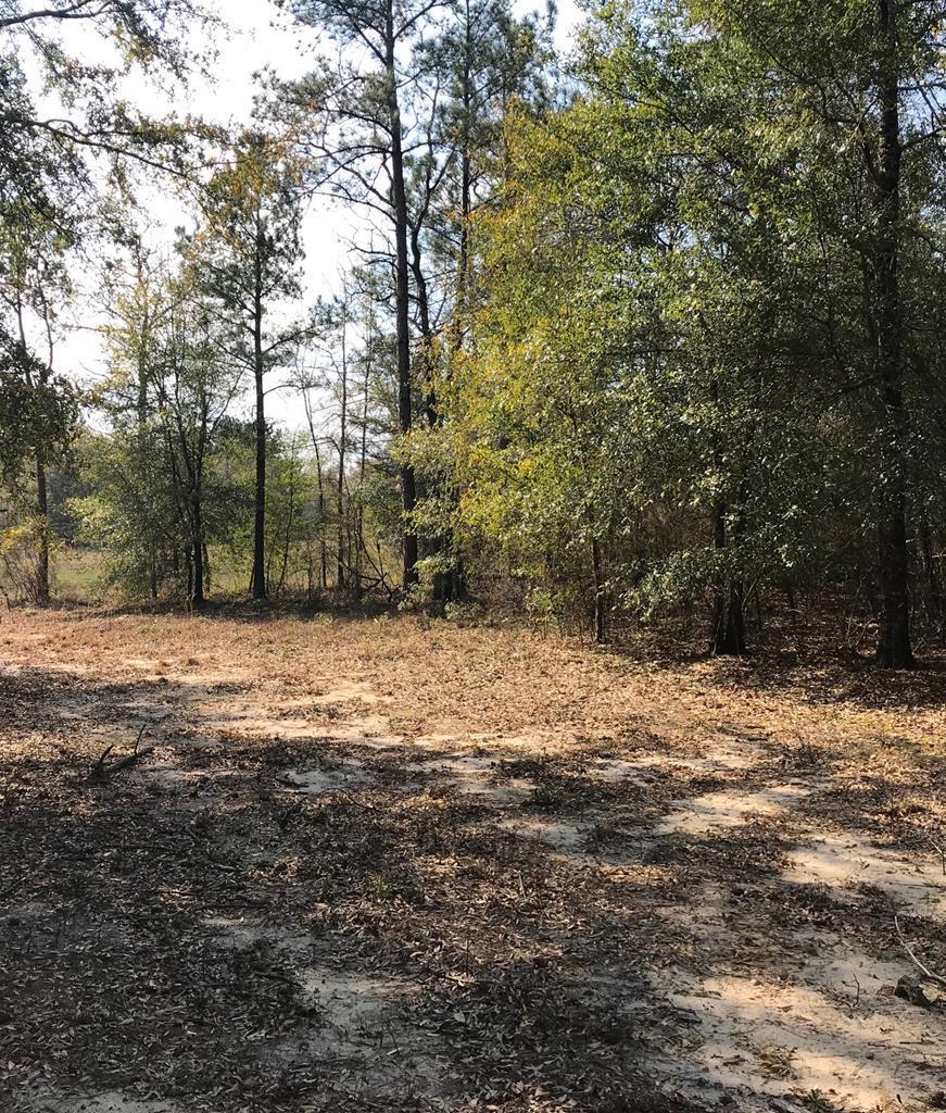 Lot 19 Polo Lane And Equestrian Way - Photo 1