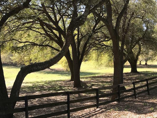 000 Lewis Lane - Photo 1