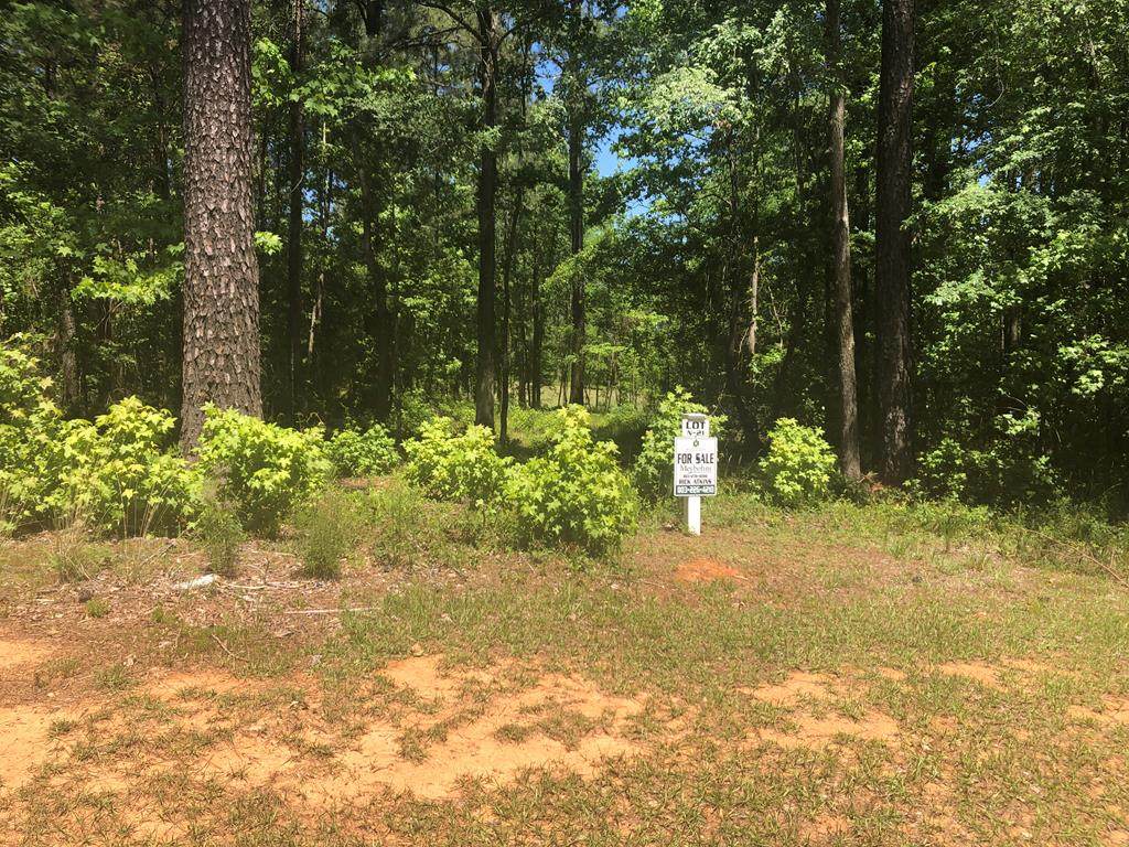 Lot N-21 Captain Johnsons Drive - Photo 1
