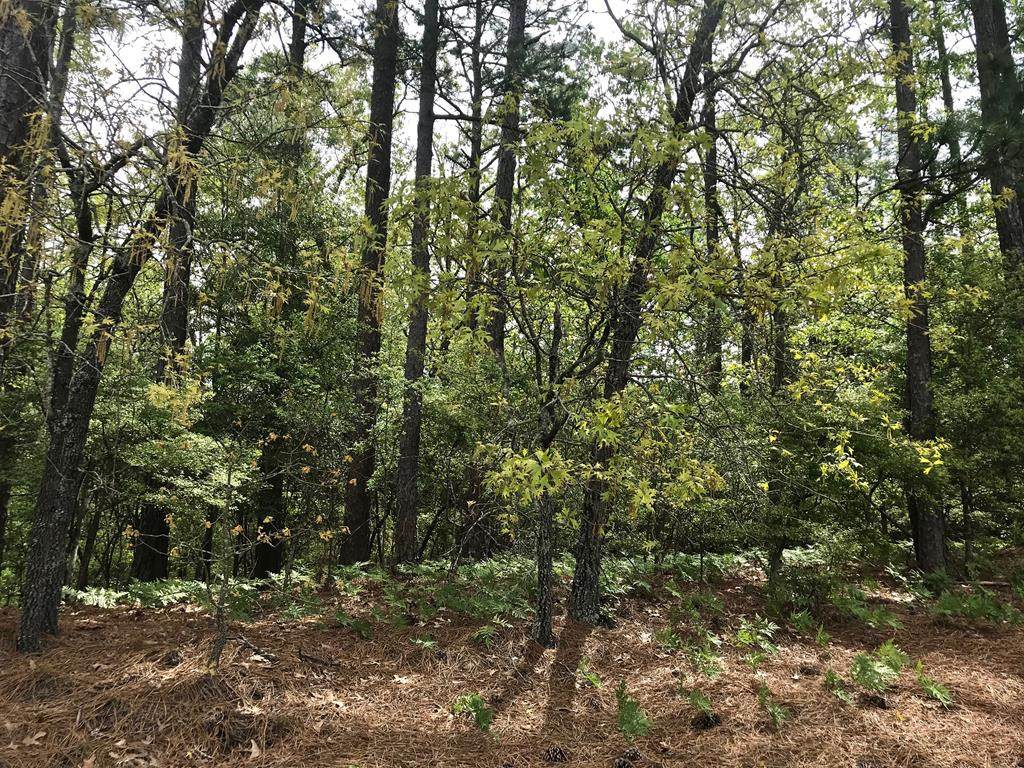 104 White Birch Court - Photo 1