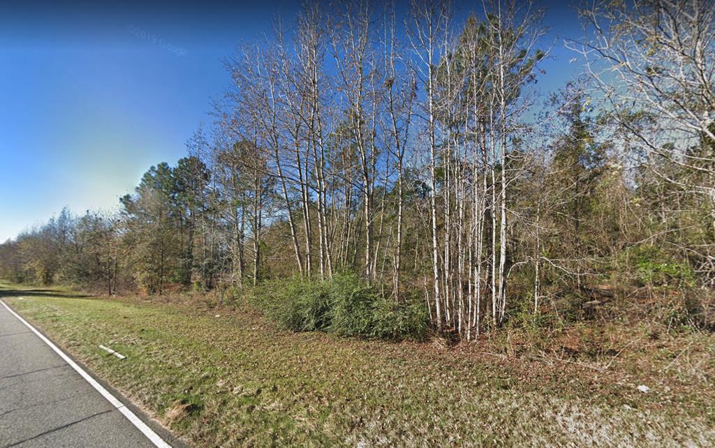 Lot 4 Dana Avenue - Photo 1