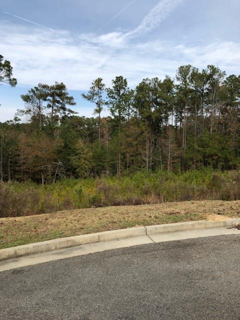 305 Steeple Ridge Rd - Photo 1