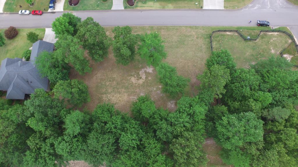 Lot 1 Buckhar Lane - Photo 1