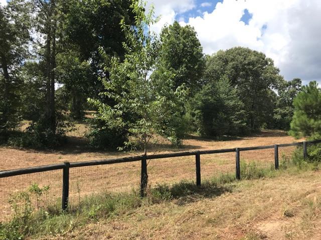 3134 Epona Lane - Photo 1 3134 Epona Lane - Photo 1