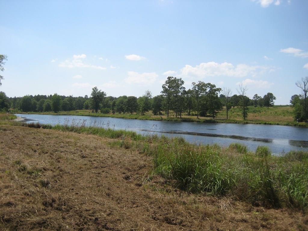 000 Flowing Well Road - Photo 1