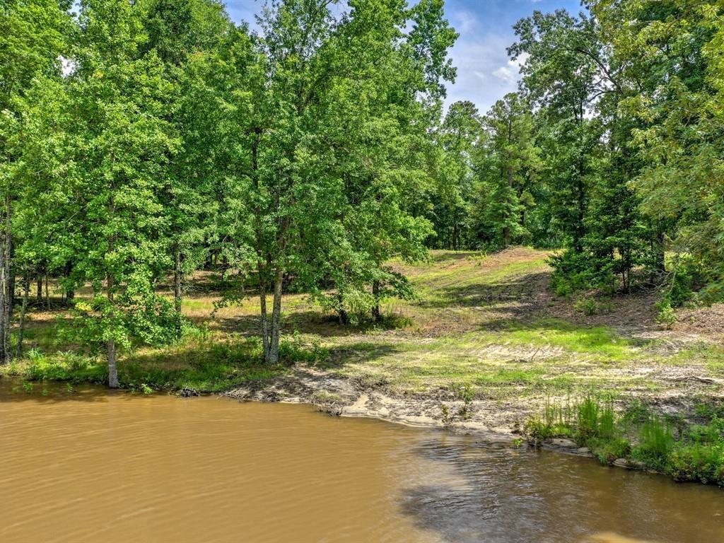 6.13 Acres Old Dibble Road - Photo 1 6.13 Acres Old Dibble Road - Photo 1