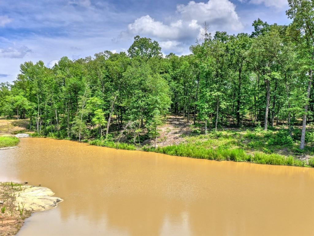 3.55 Acres Old Dibble Road - Photo 1 3.55 Acres Old Dibble Road - Photo 1