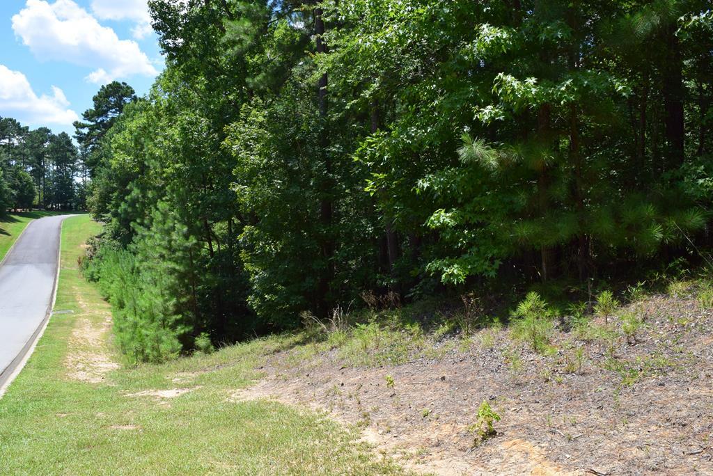 0 Longstreet Place - Photo 1