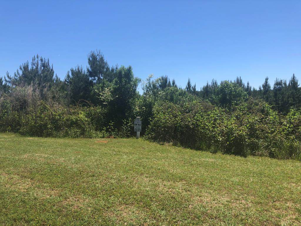Lot L-13 Militia Loop - Photo 1