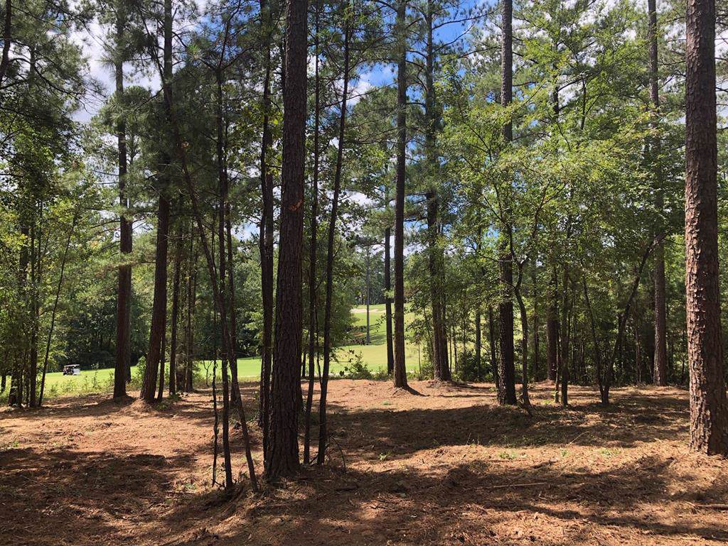 Lot N-55 Eutaw Springs Trail - Photo 1 Lot N-55 Eutaw Springs Trail - Photo 1