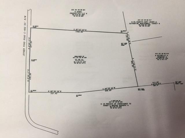 0000 Joyner Pond Road - Photo 1