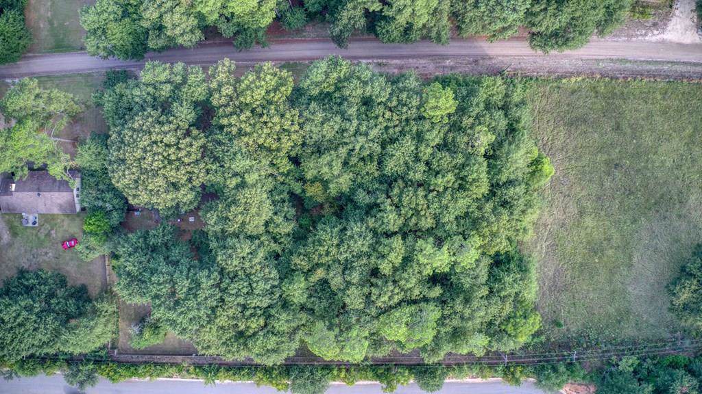 LOT 0 Coward Road - Photo 1