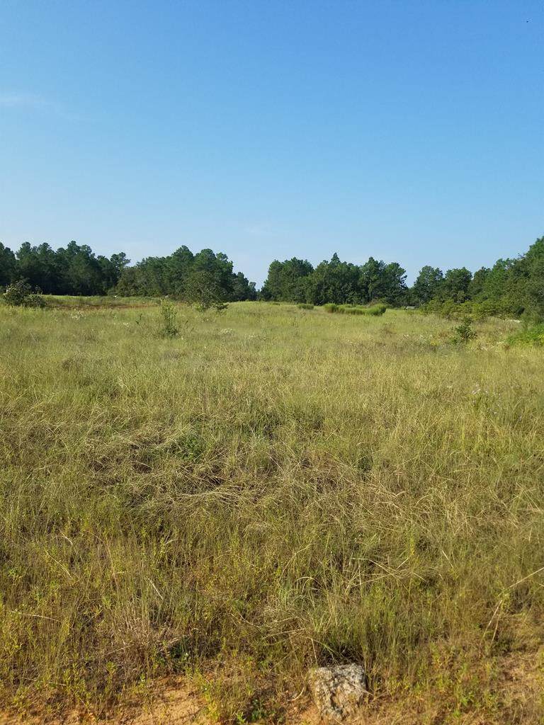 162 Ballard Drive - Photo 1
