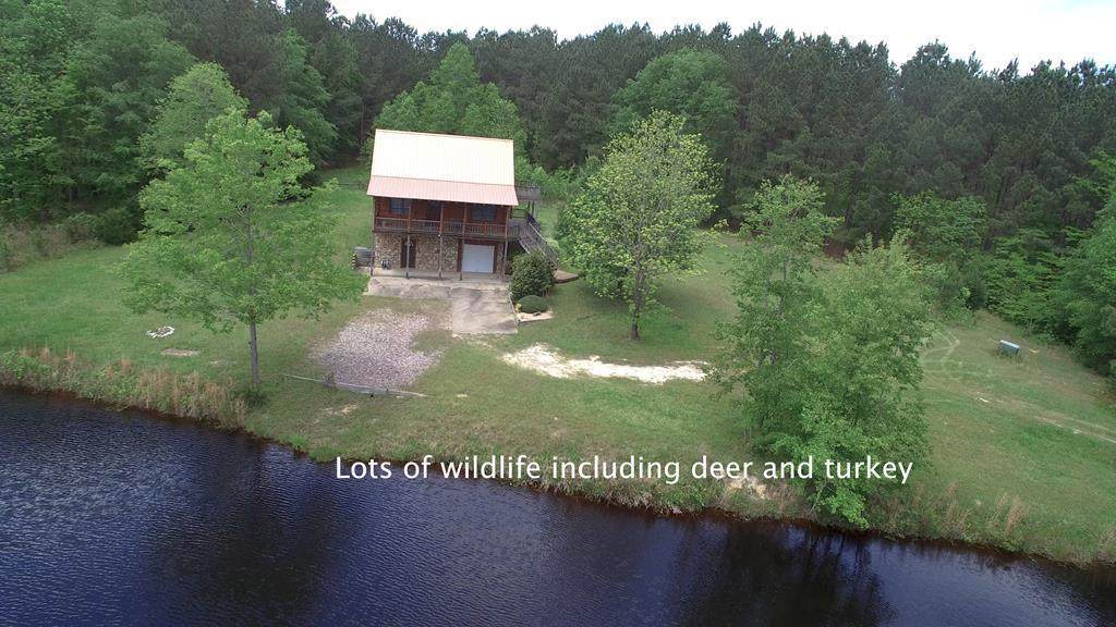 317 Bland Baptist Road - Photo 1