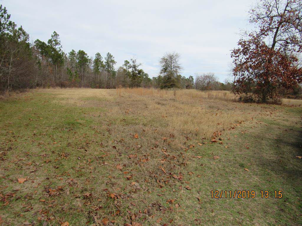 Lot 41 Horse Creek Road - Photo 1