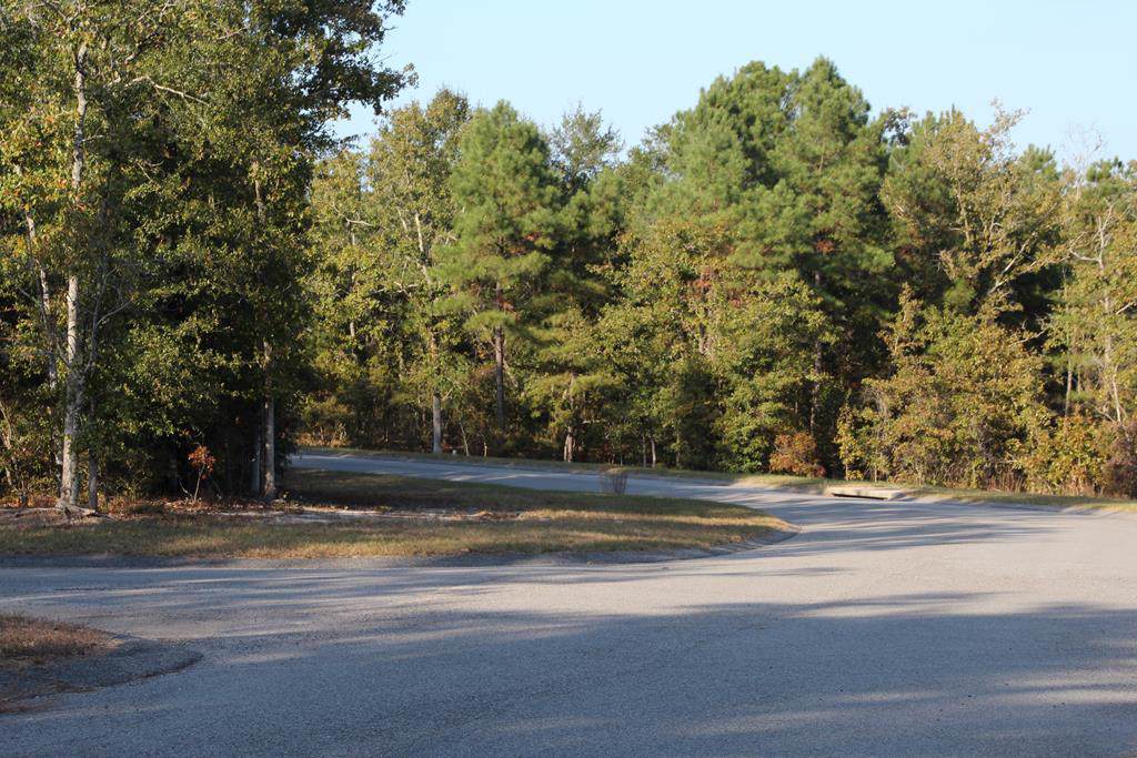 272 Lot #18 Equestrian Way - Photo 1