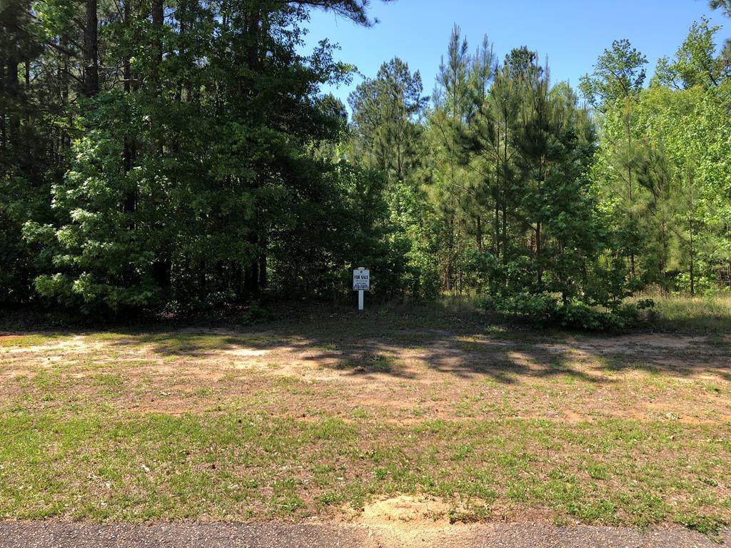 Lot B-1 Judge Gantt Court - Photo 1 Lot B-1 Judge Gantt Court - Photo 1