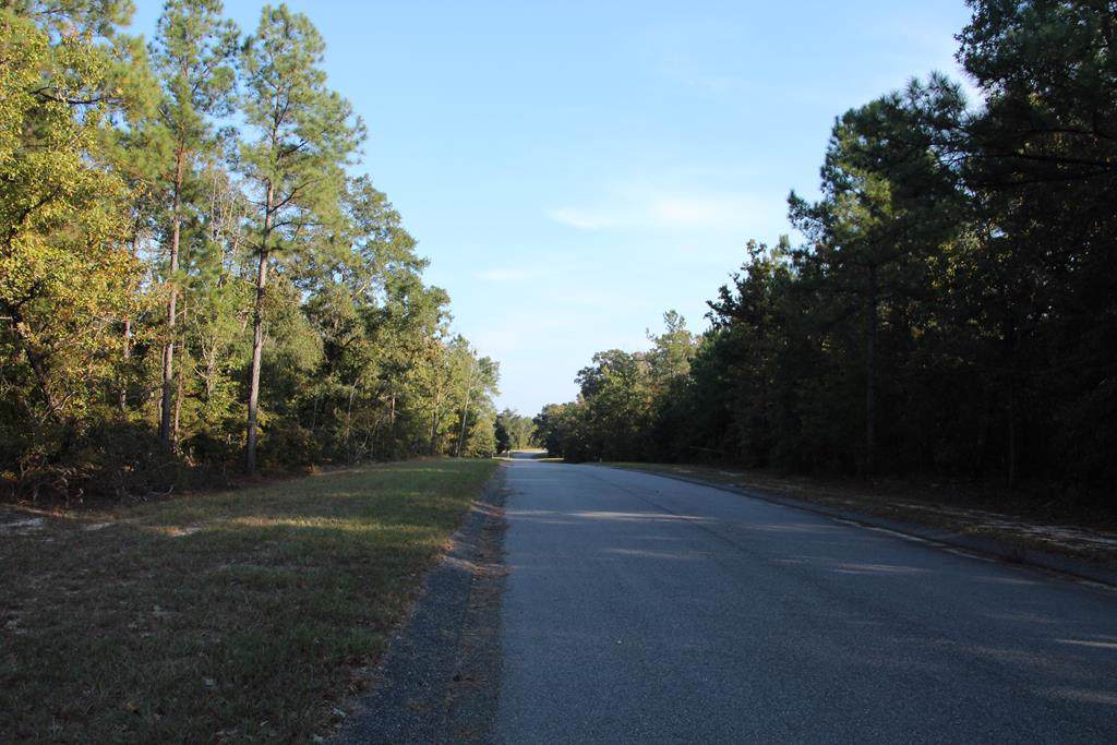 272 Lot #21 Equestrian Way - Photo 1