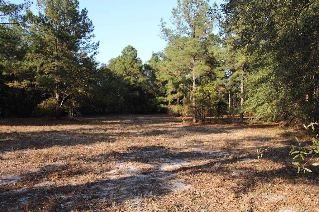 272 Lot #23 Equestrian Way - Photo 1