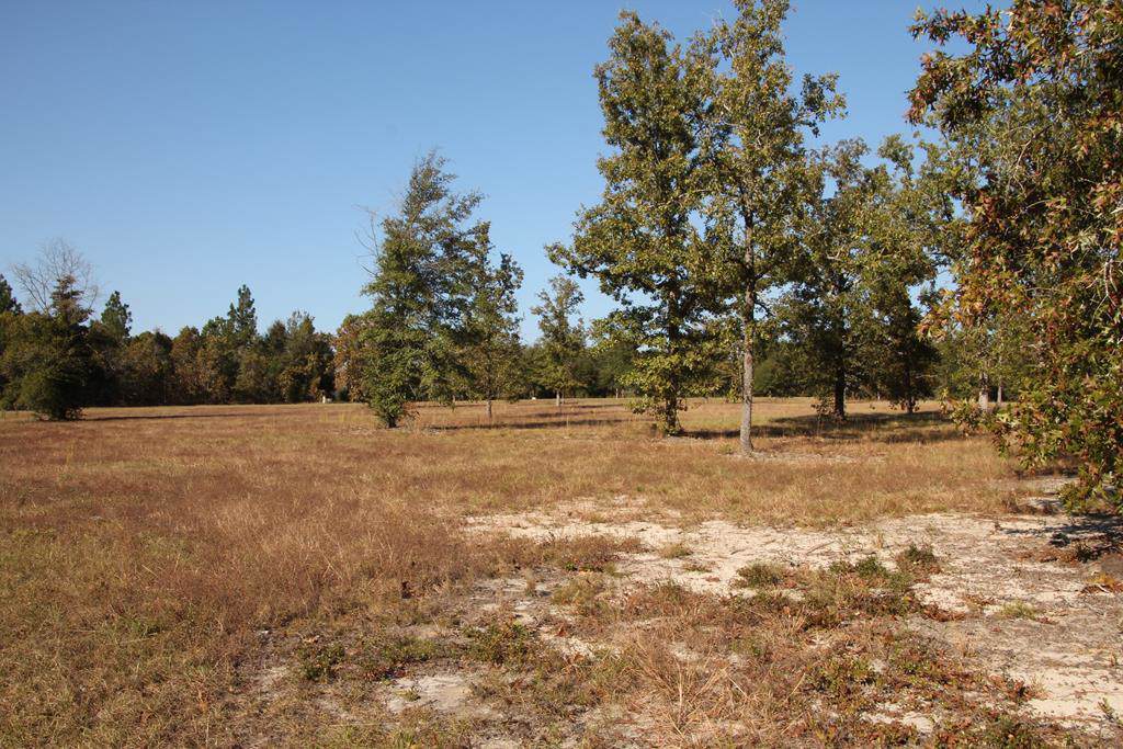272 Lot #24 Equestrian Way - Photo 1