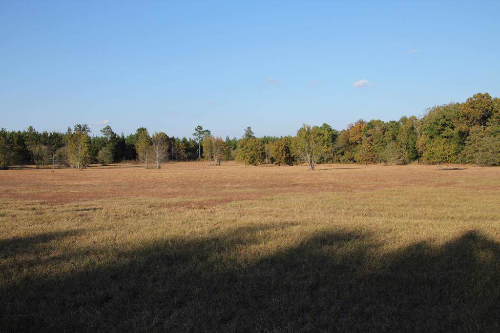 272 Lot #27 Equestrian Way - Photo 1