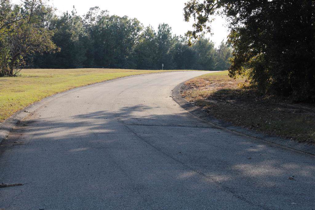 272 Lot #43 Equestrian Way - Photo 1
