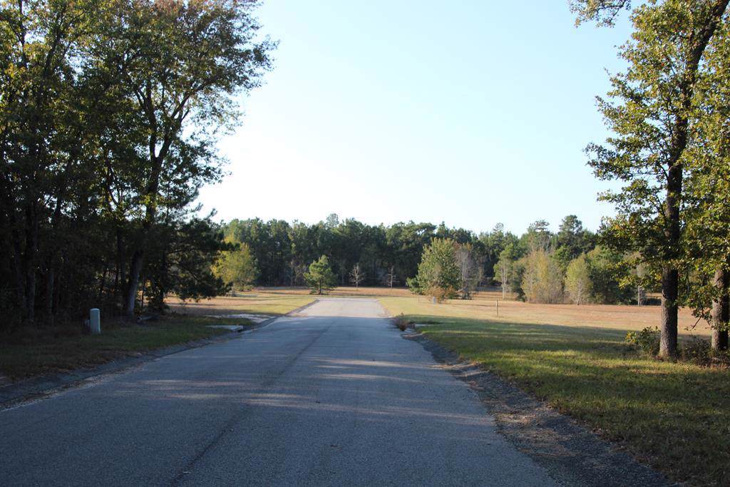 272 Lot #45 Equestrian Way - Photo 1