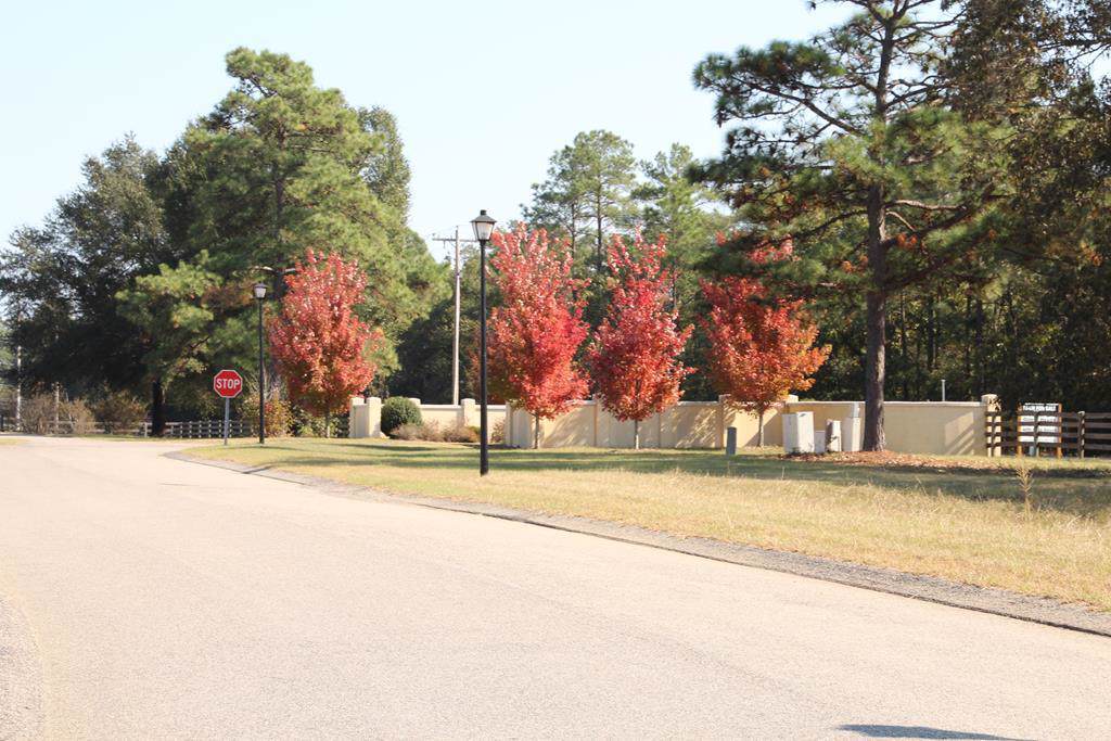 272 Lot #50 Equestrian Way - Photo 1